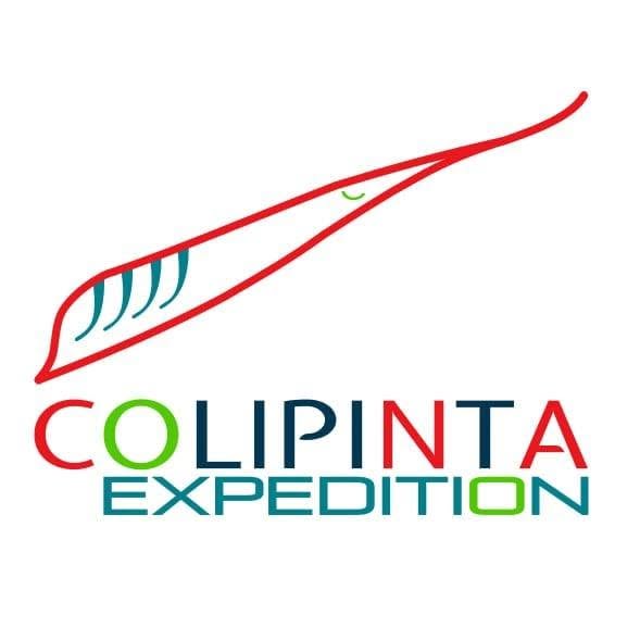 Colipinta